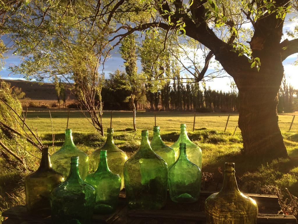 Estancia Santa Thelma Bed & Breakfast Casa Riera Exterior photo
